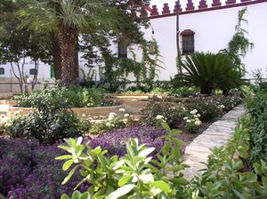 A garden in a courtyard, with a palm tree to the left surrounded by shrubs, surrounded by a low circle of bricks, separated from flower beds with purple and white flowers as well as bushes by narrow stone pathways. In the background, a white mural with small windows and decorative brown brick castellations is visible