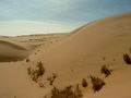 Ngutanese Desert.jpg