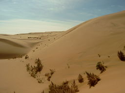 Ngutanese Desert.jpg