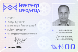 Cermani driving licence.png
