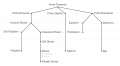 Theweric-phylogenetic-tree.png