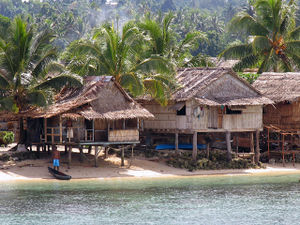 Stilt houses with a roof made from presumably thatched palm leaves and walls likely from a similar material, located at a palm beach with water in the foreground and palms at the side and a forest full of palms in the background. In the lower left corner a single person with a small boat can be seen.