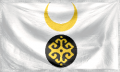 Darudi flag - Copy (2) - Copy.png