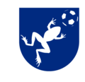 Gfiewish national soccer football team emblem.png